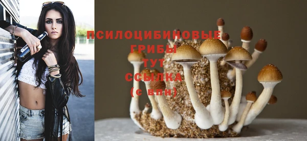 индика Баксан