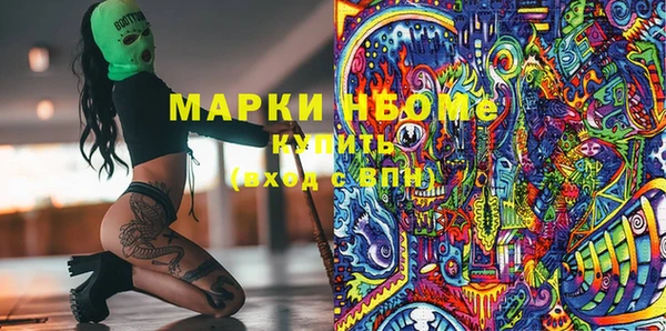 индика Баксан