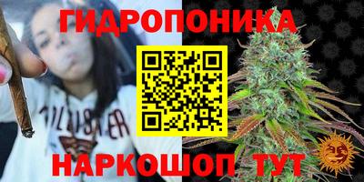 прущие крисы Нальчик