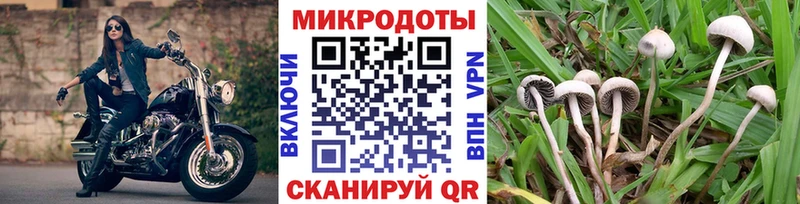 Псилоцибиновые грибы GOLDEN TEACHER  Верхняя Салда 