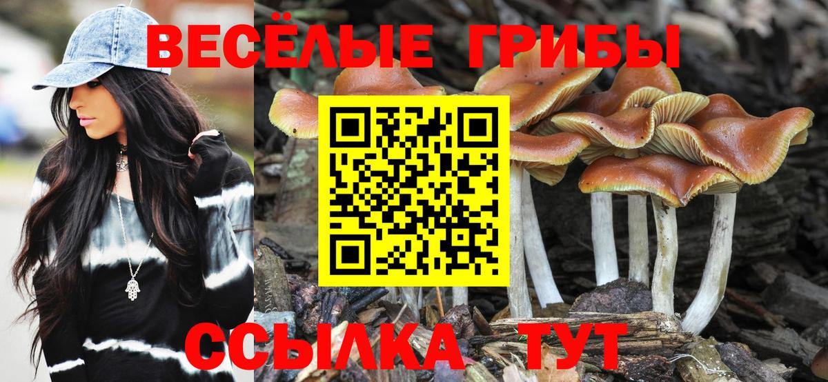 Псилоцибиновые грибы мицелий  Вход с VPN  Верхняя Салда 