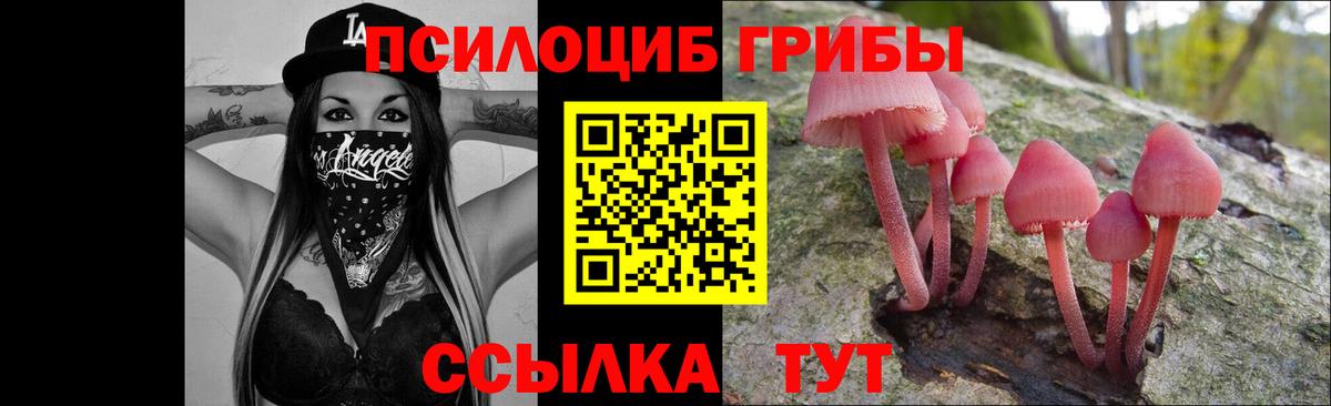 Галлюциногенные грибы Psilocybe Верхняя Салда